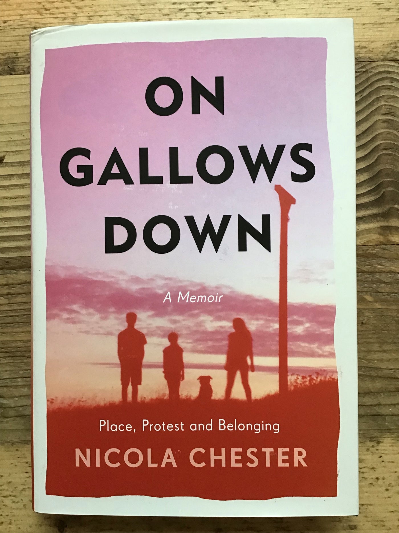 On Gallows Down: Place, Protest and Belonging - SALE