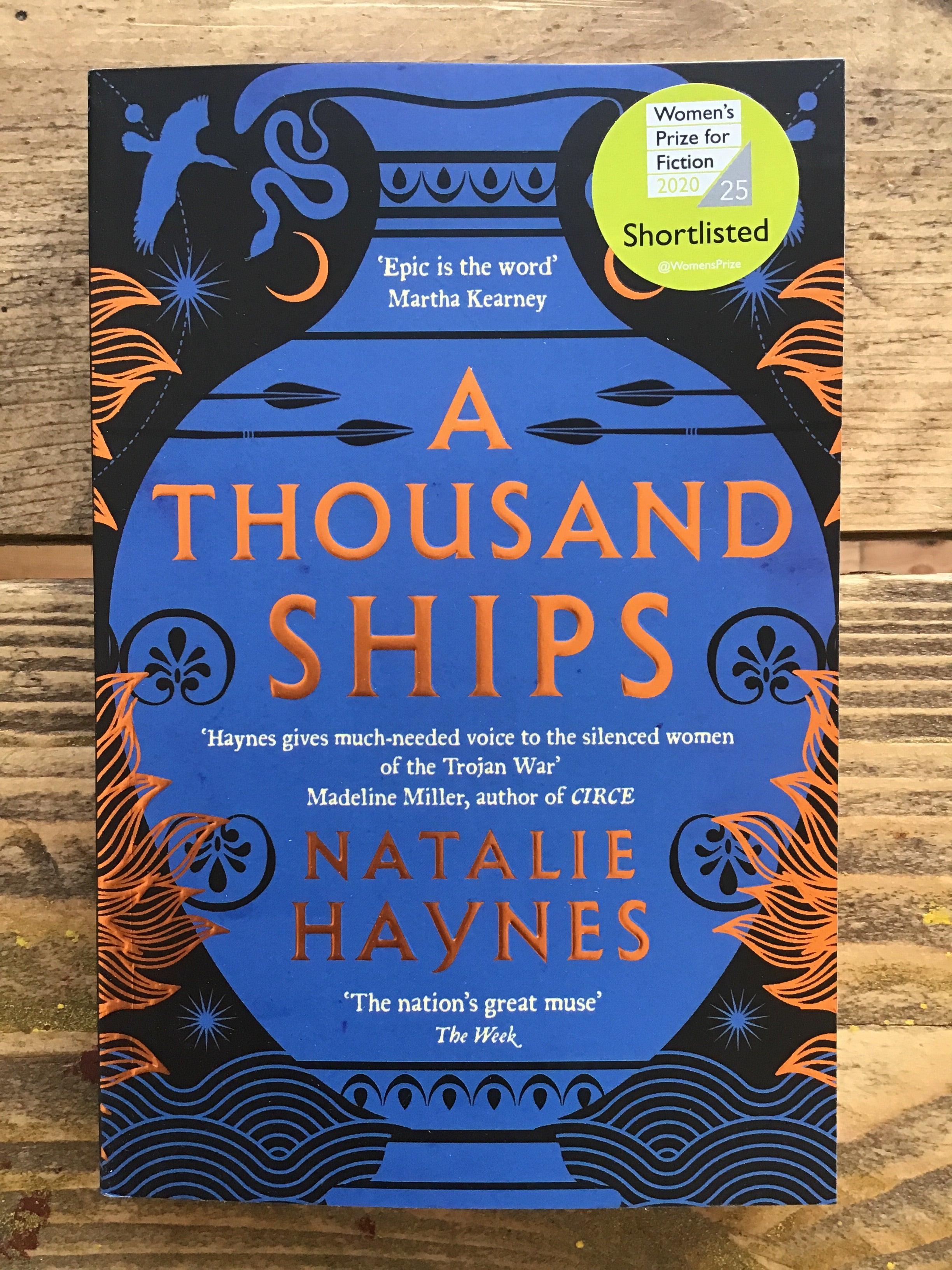 A Thousand Ships by Natalie Haynes
