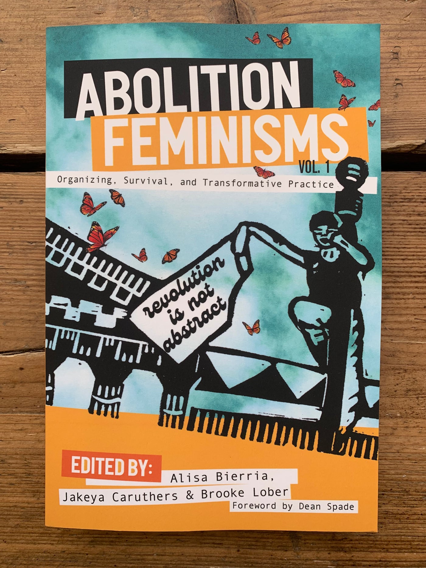 Abolition Feminisms (Vol. 1)