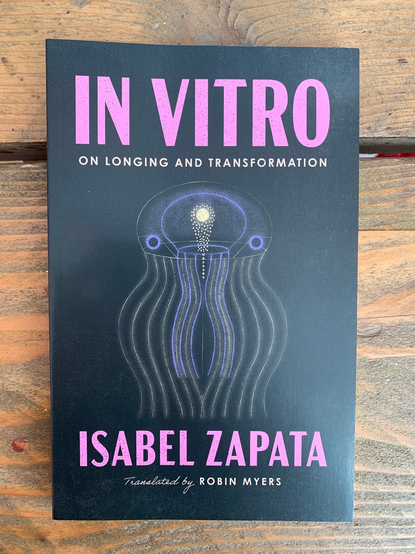 In Vitro: On Longing and Transformation
