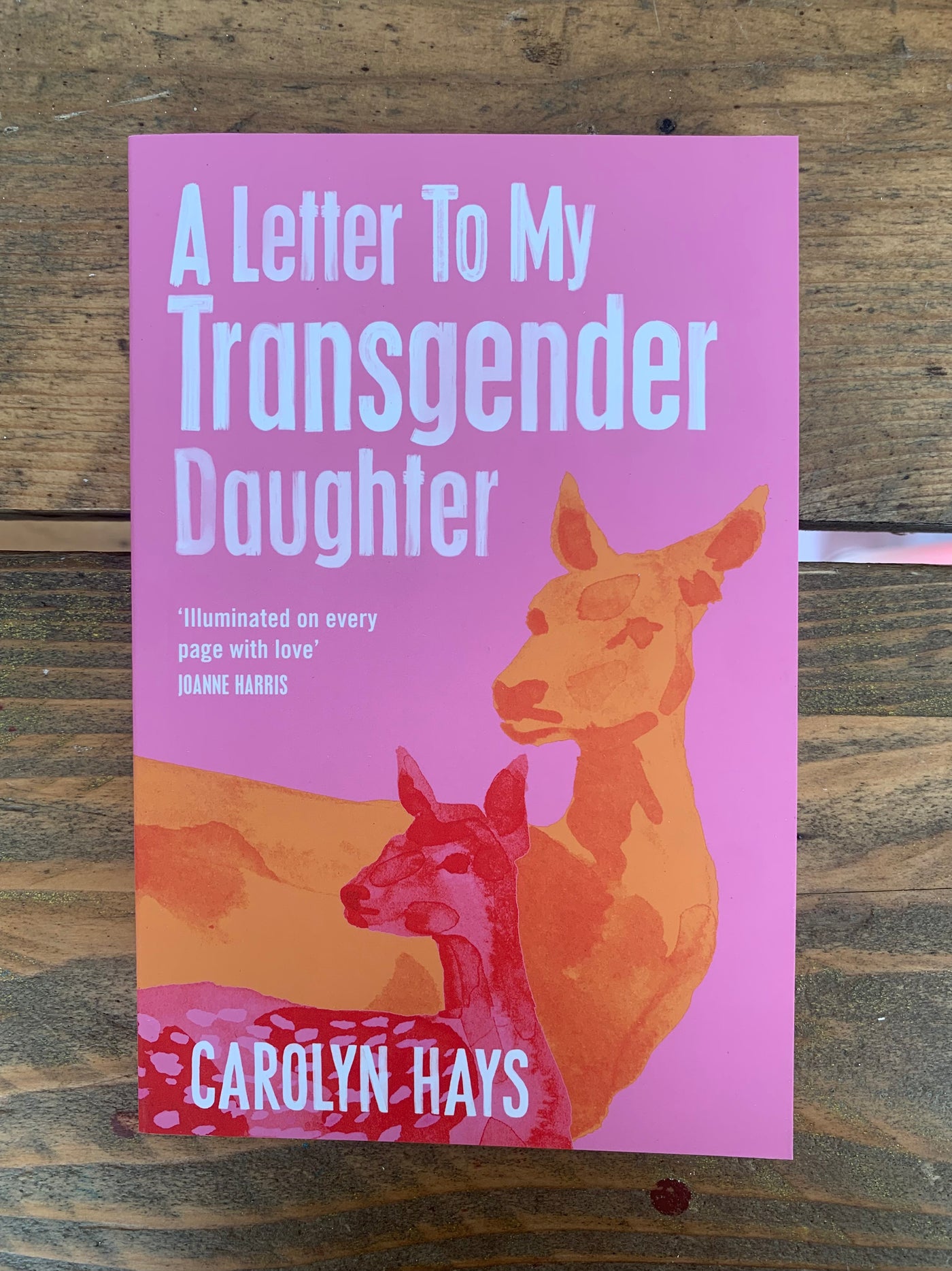 A Girlhood : A Letter to My Transgender Daughter