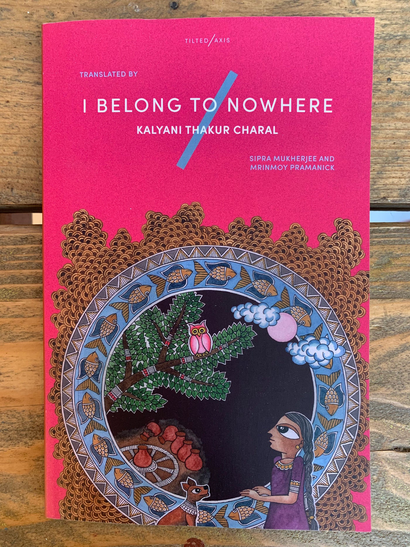 I Belong to Nowhere : Poems of Hope and Resistance