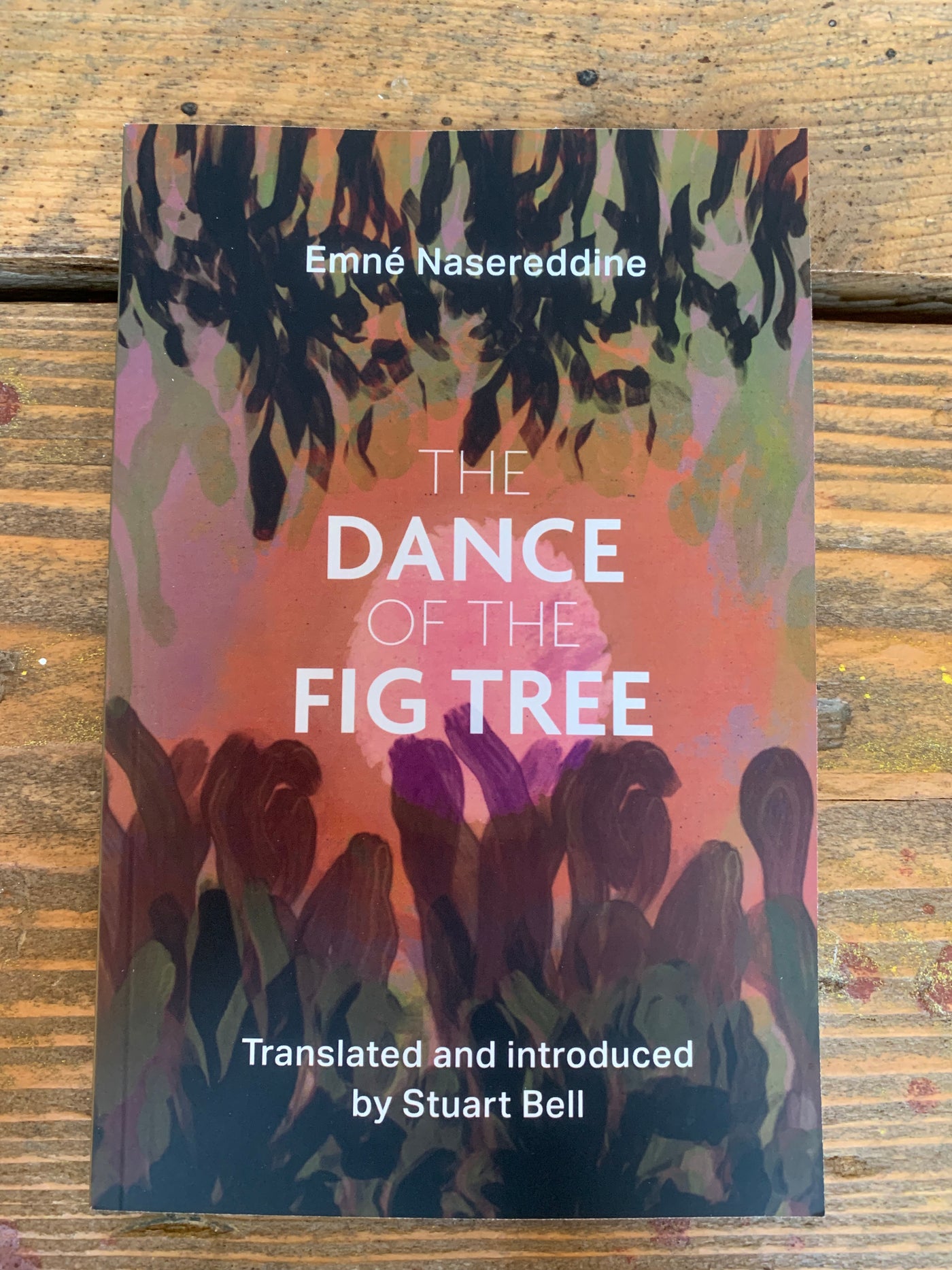 The Dance of the Fig Tree