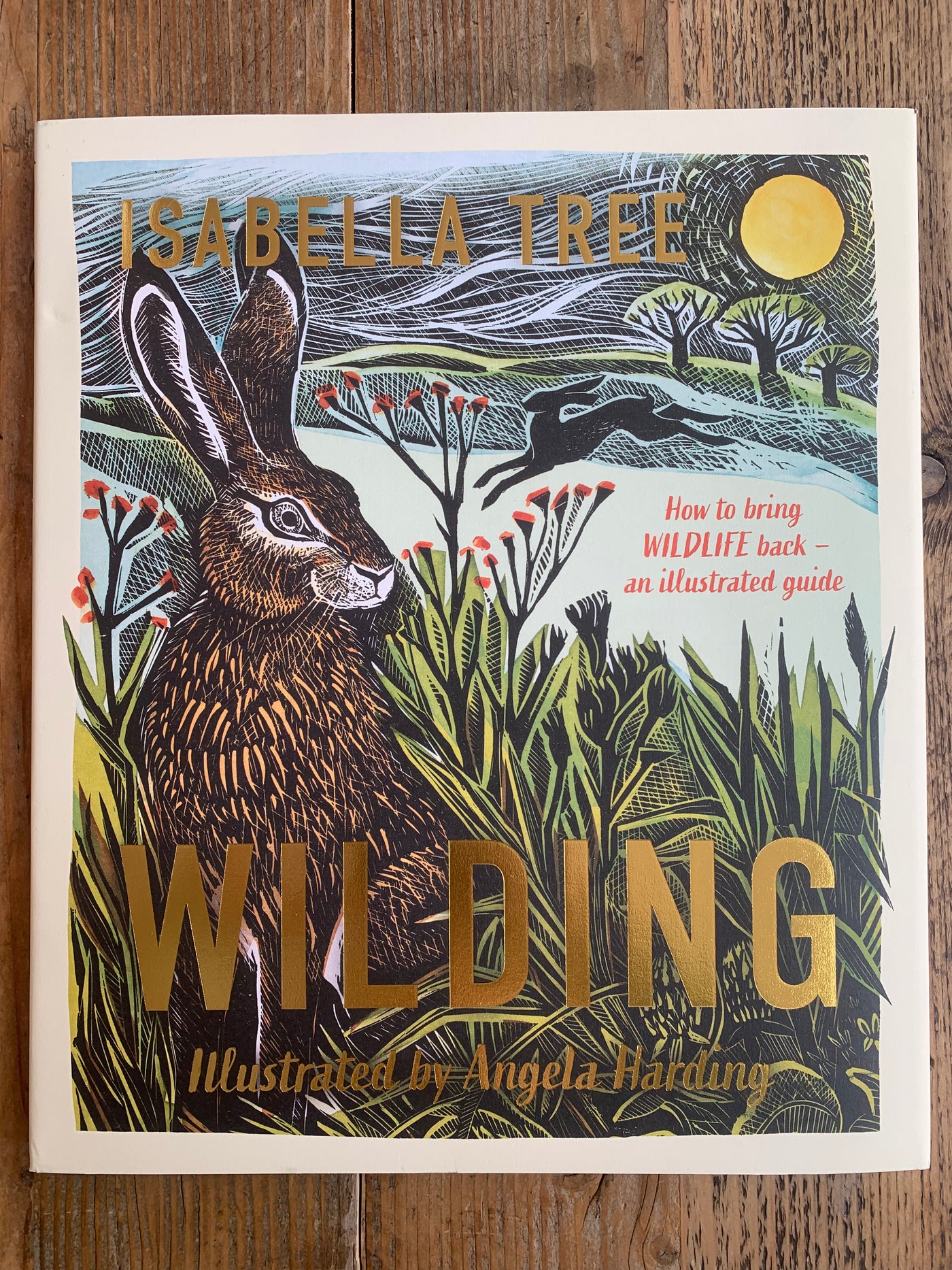 Wilding: How to Bring Wildlife Back - Illustrated Guide