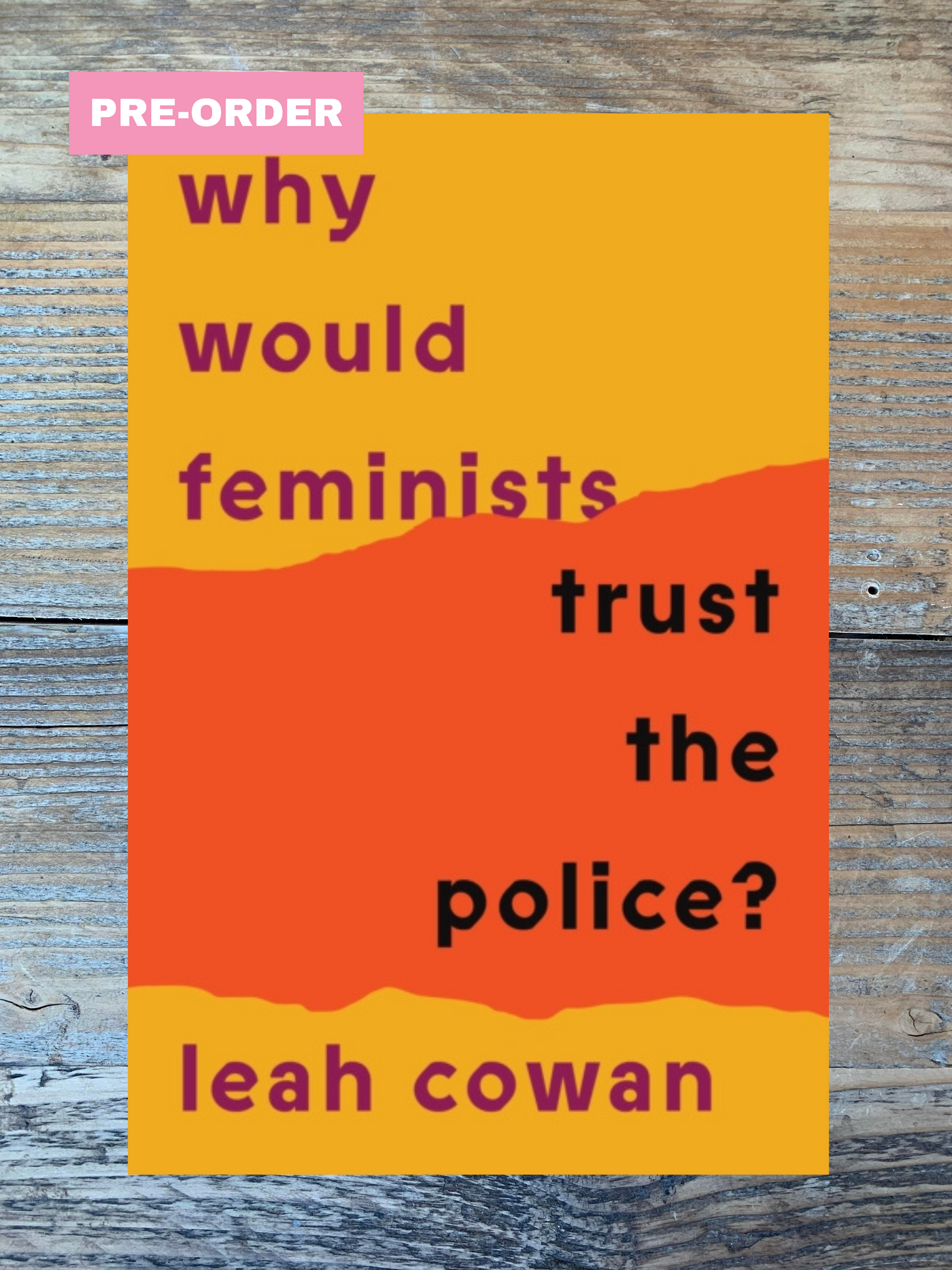 Why Would Feminists Trust the Police? PRE-ORDER