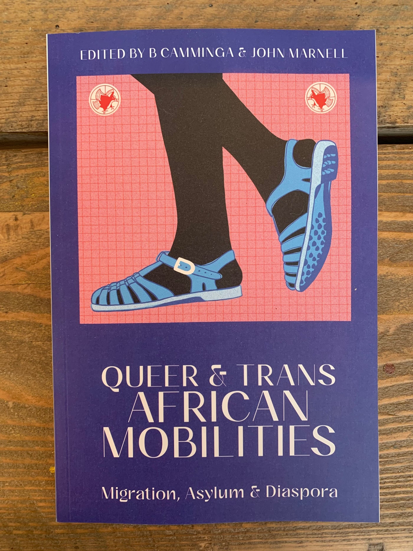 Queer and Trans African Mobilities