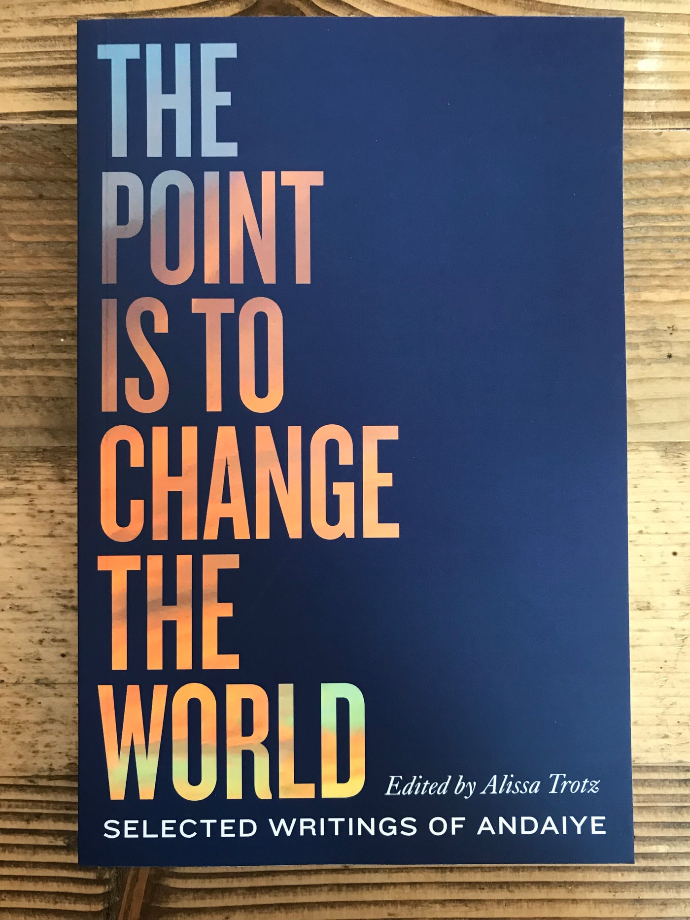 The Point is to Change the World : Selected Writings of Andaiye
