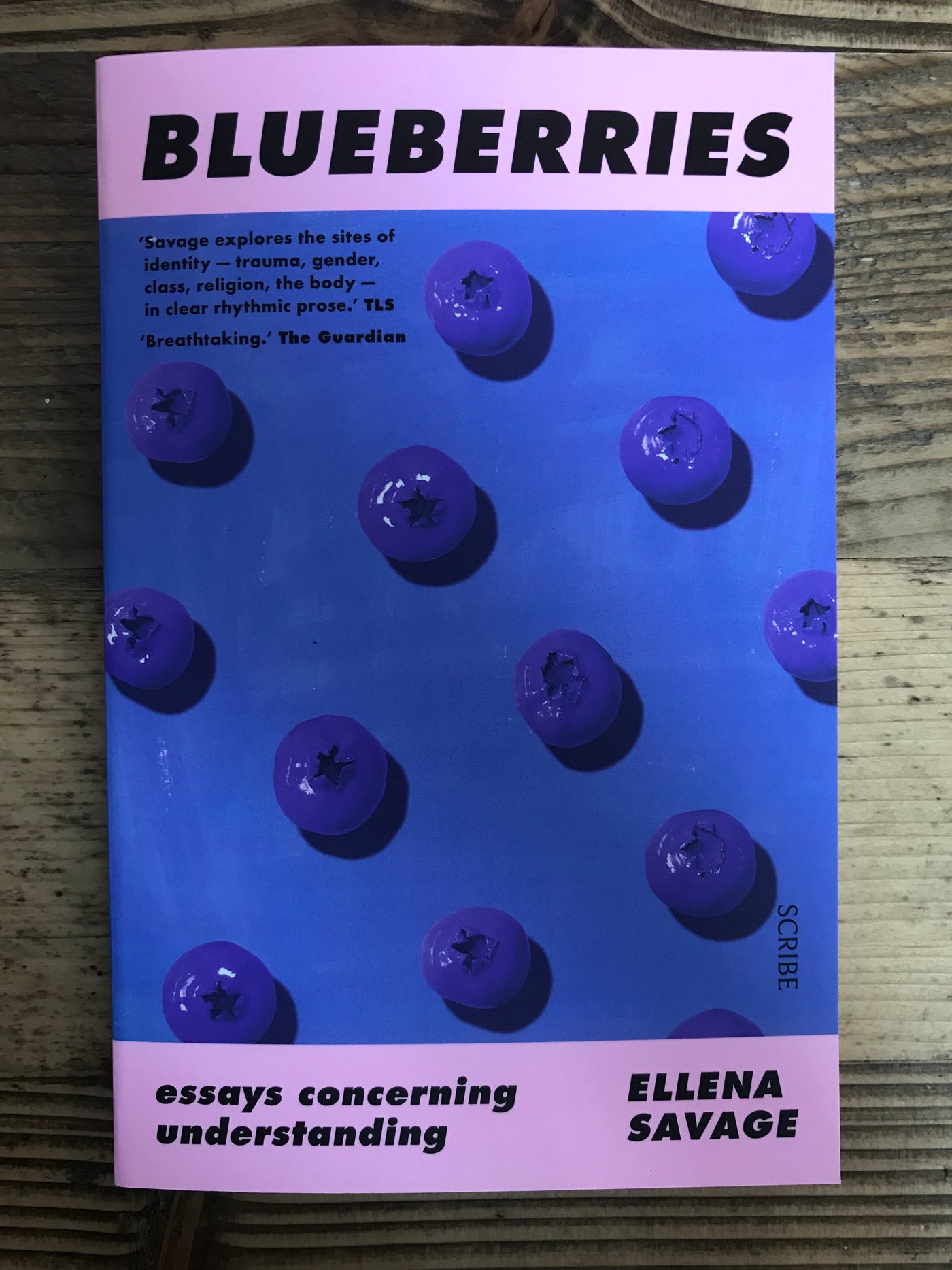 Blueberries: Essays Concerning Understanding