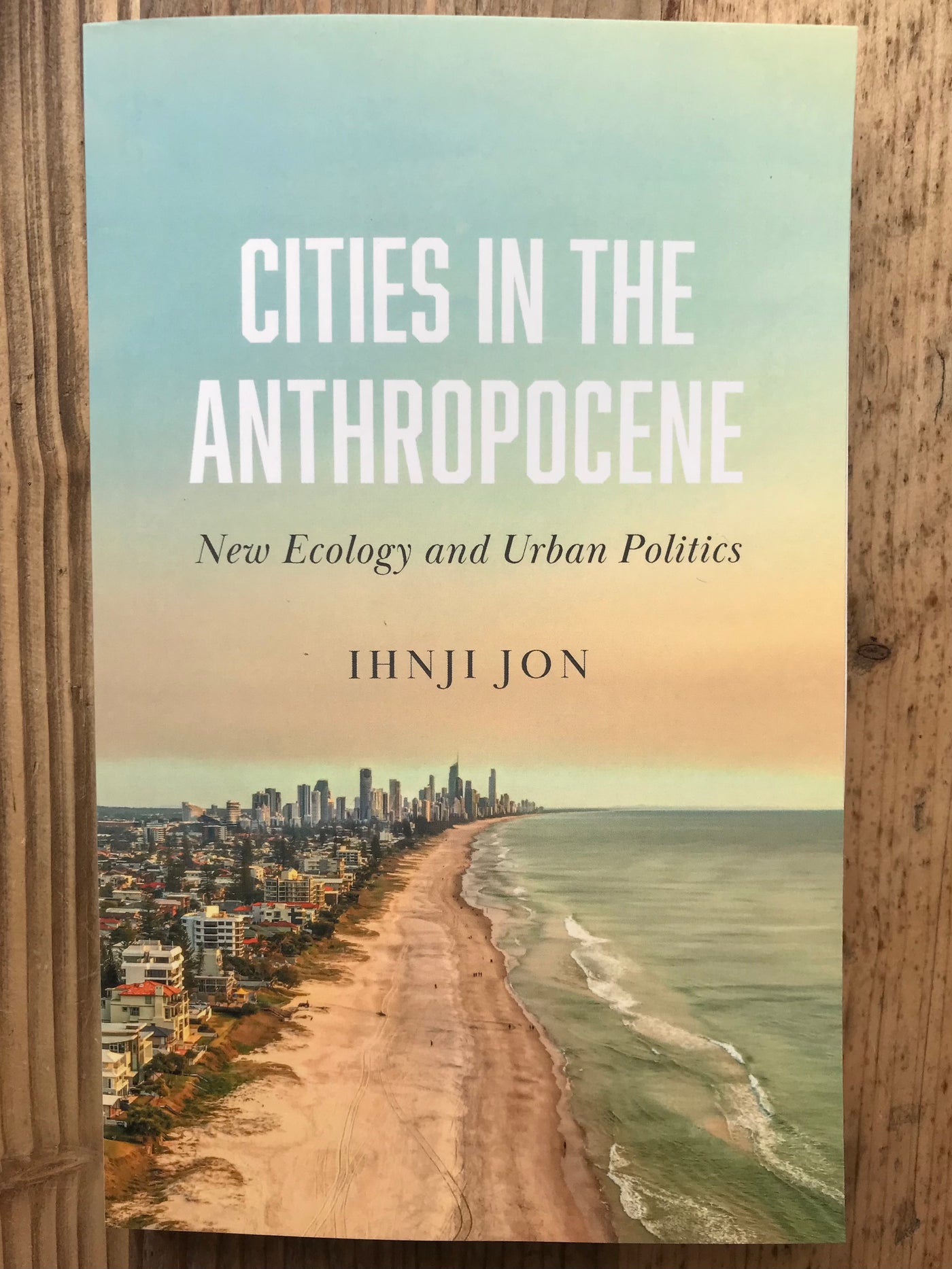 Cities in the Anthropocene : New Ecology and Urban Politics