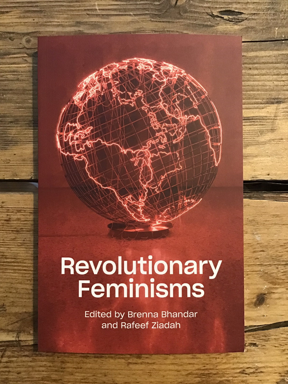 Revolutionary Feminisms