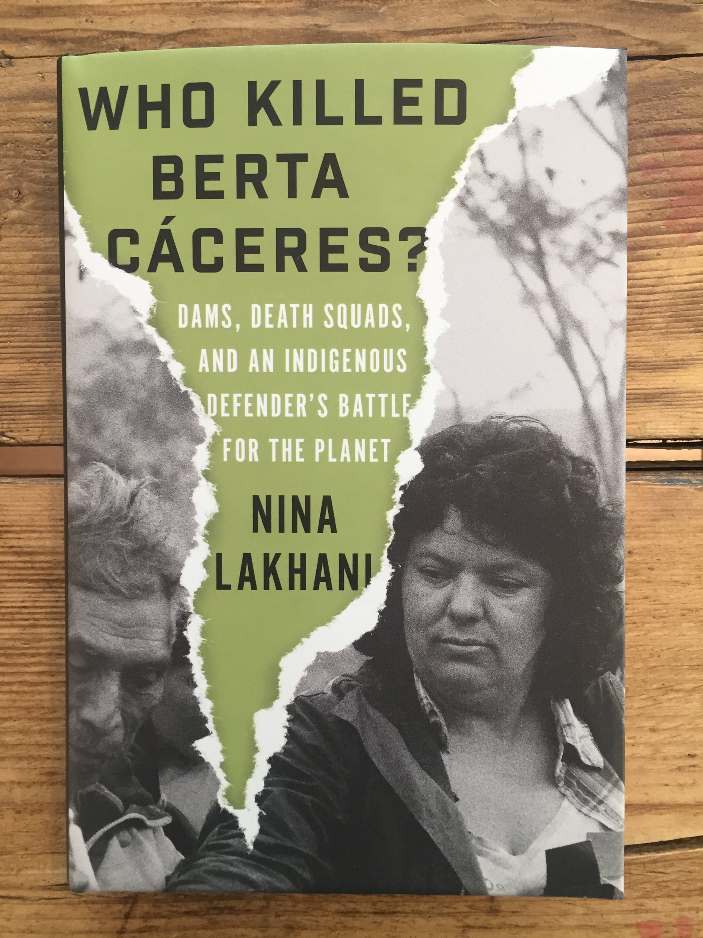 Who Killed Berta Caceres? : Dams, Death Squads, and an Indigenous Defender's Battle for the Planet