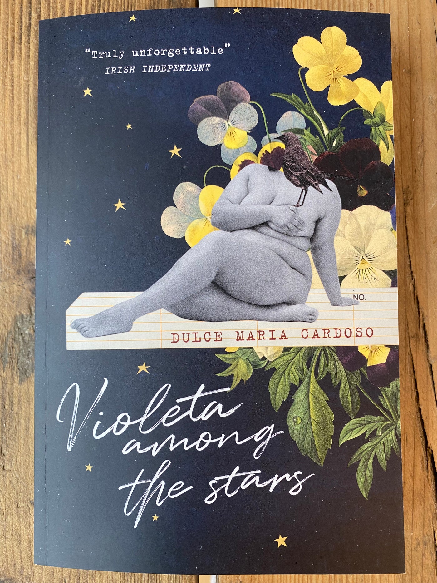 Violeta Among the Stars