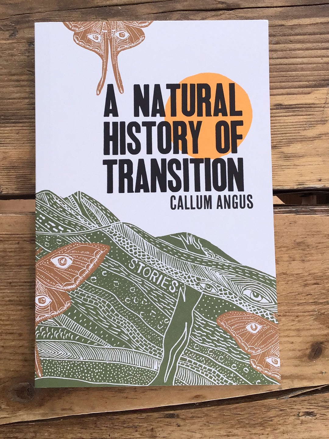 Natural History of Transition