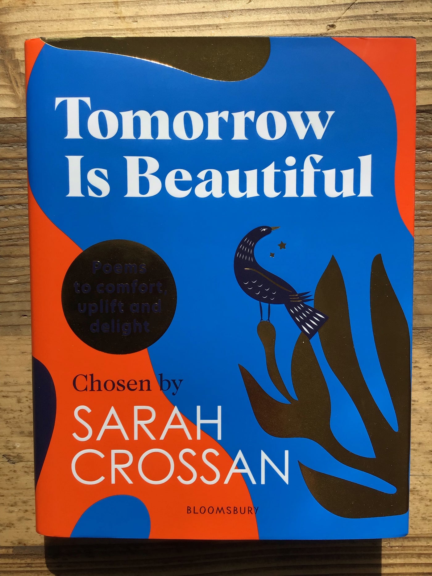 Tomorrow Is Beautiful : The perfect poetry collection for anyone searching for a beautiful world...