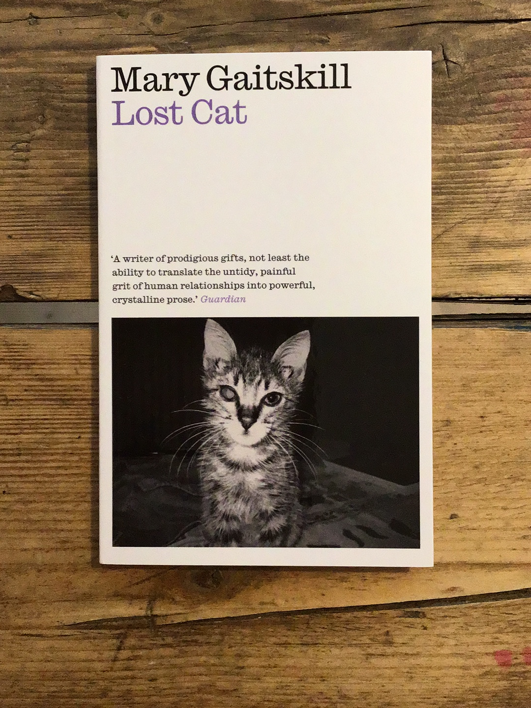 Lost Cat: A Memoir