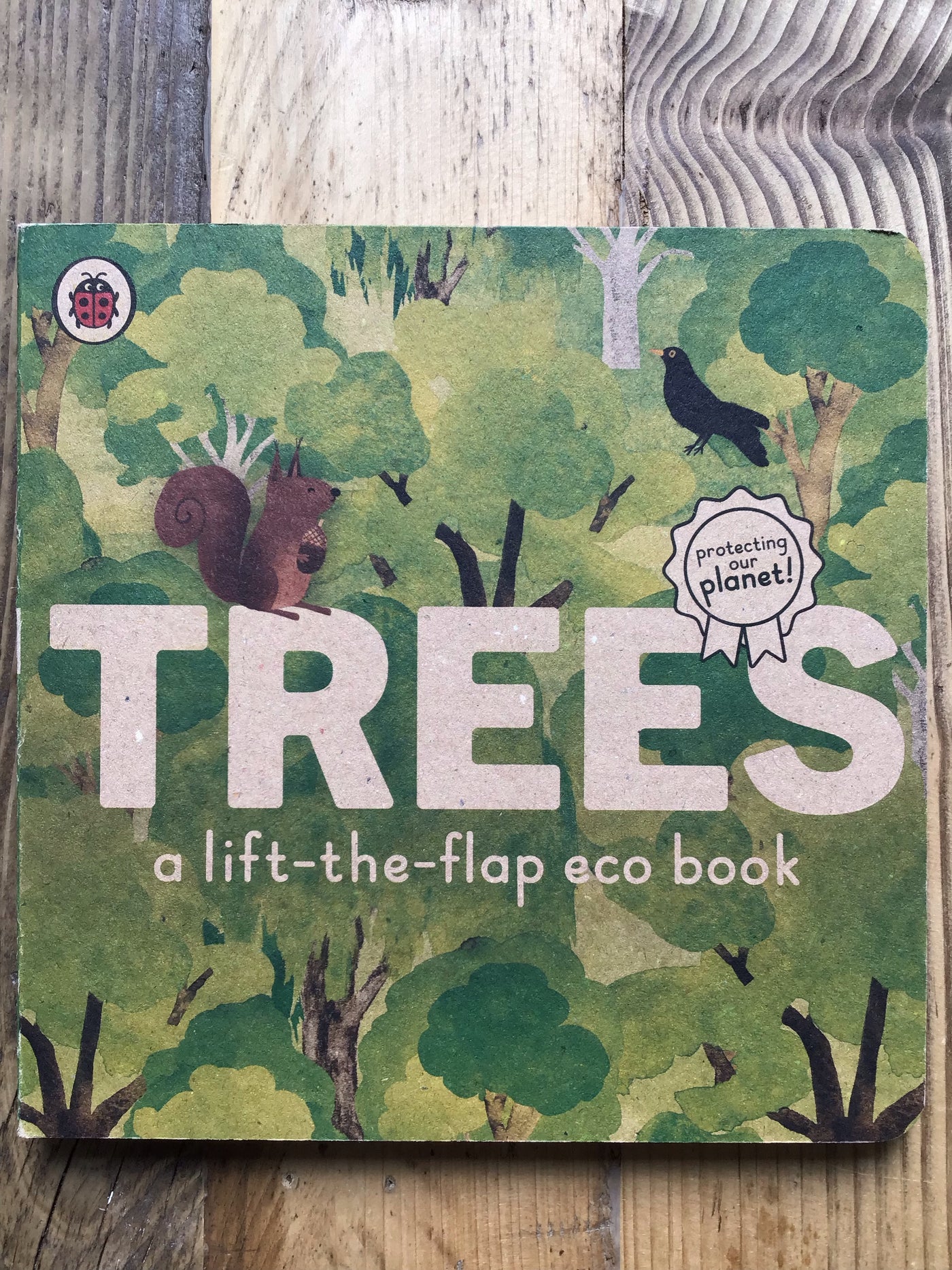 Trees: A life-the-flap eco book