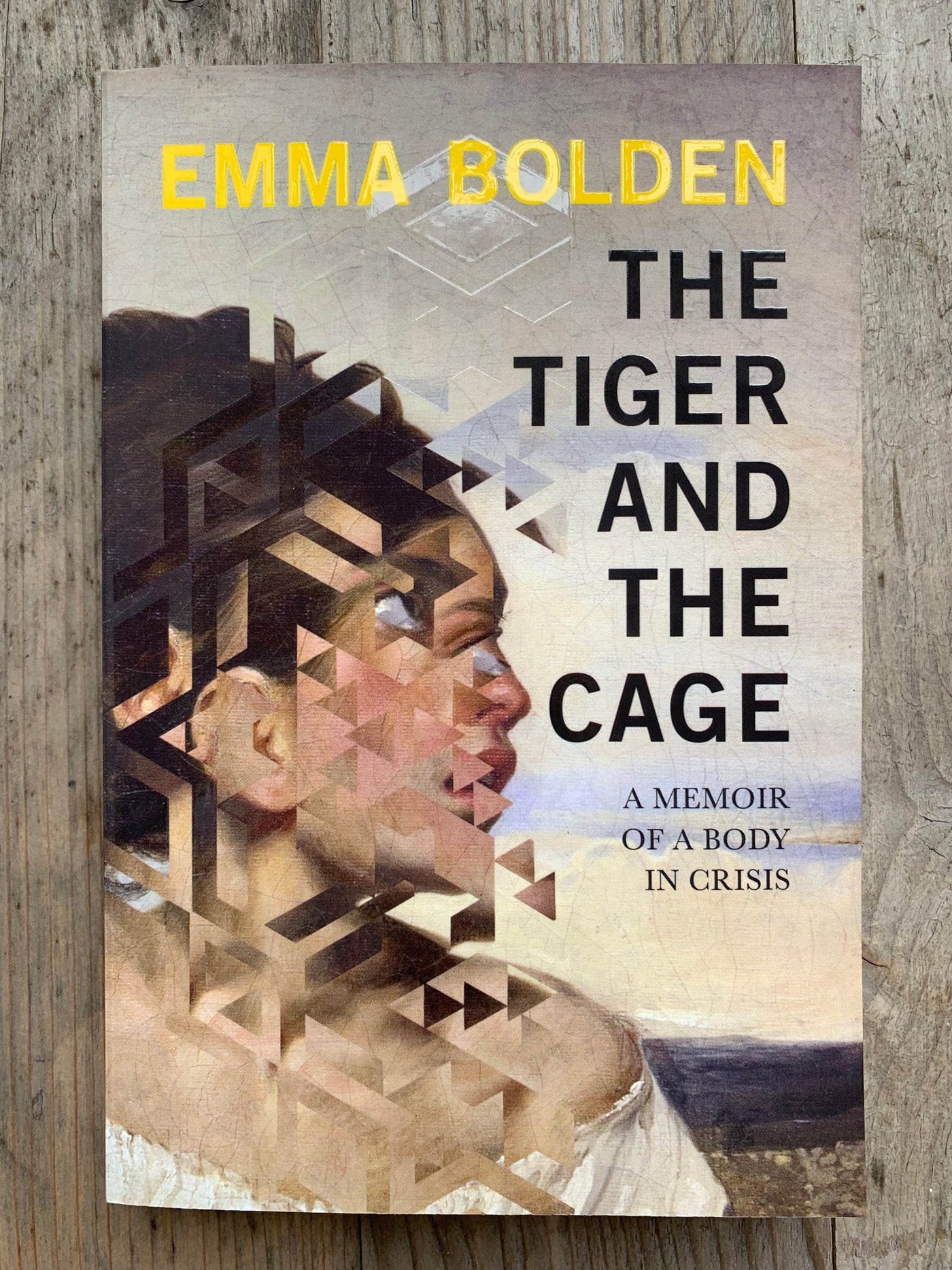 The Tiger And The Cage