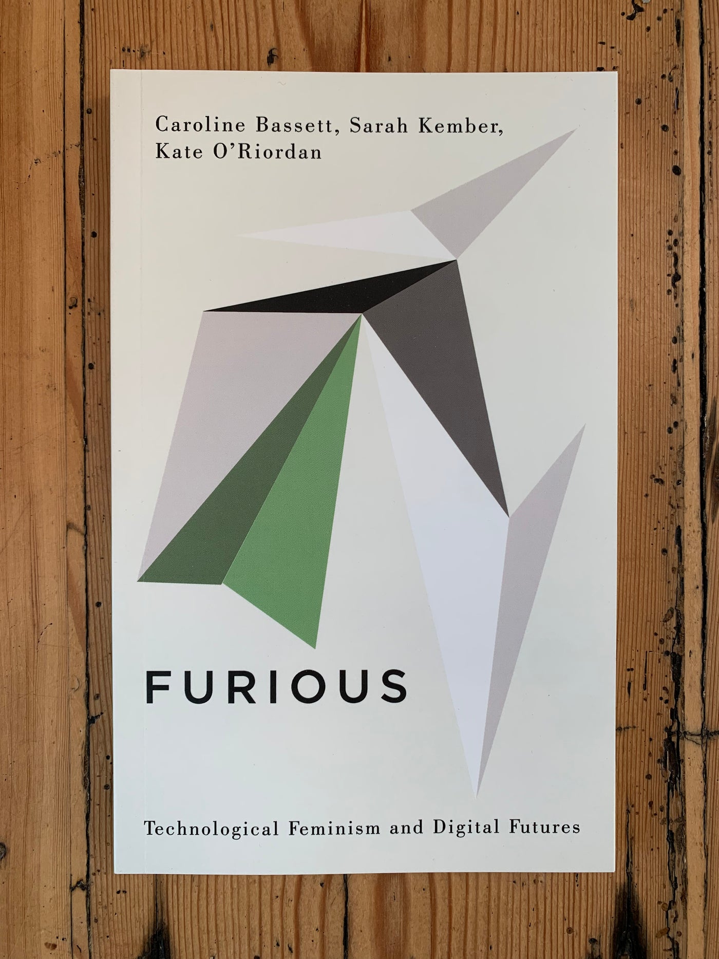 Furious: Technological Feminism and Digital Futures