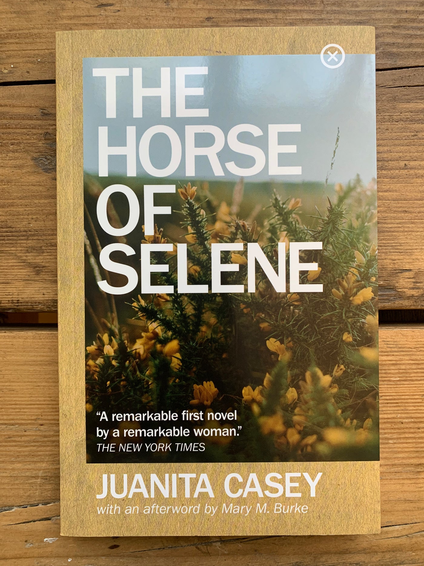The Horse of Selene