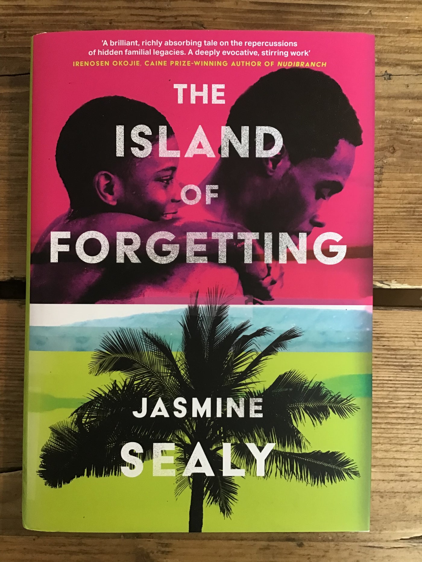 The Island of Forgetting - SALE