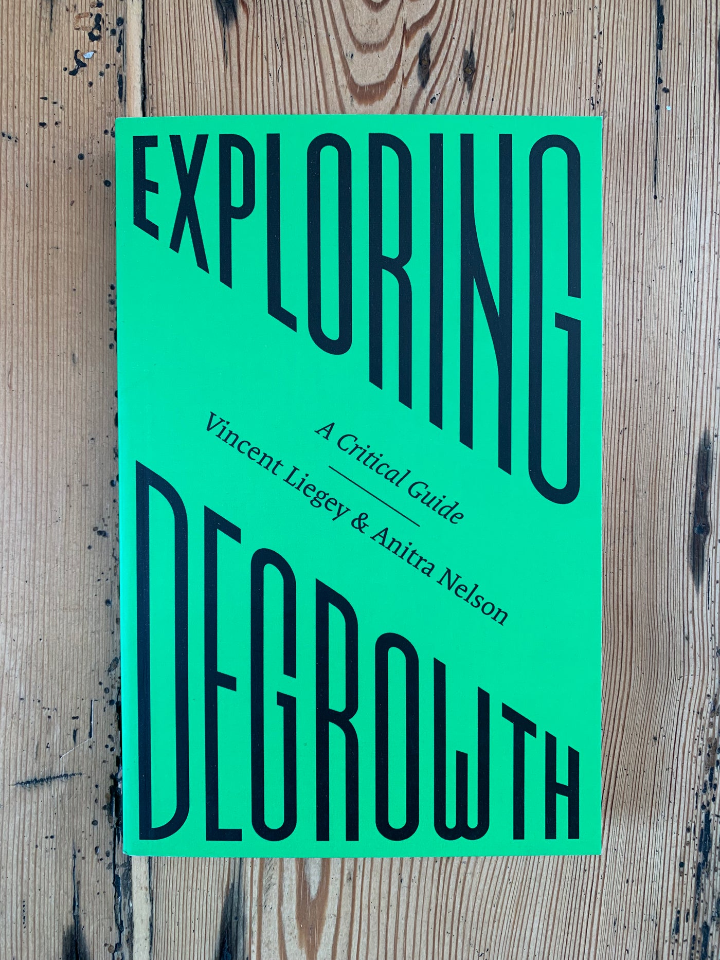 Exploring Degrowth : A Critical Guide