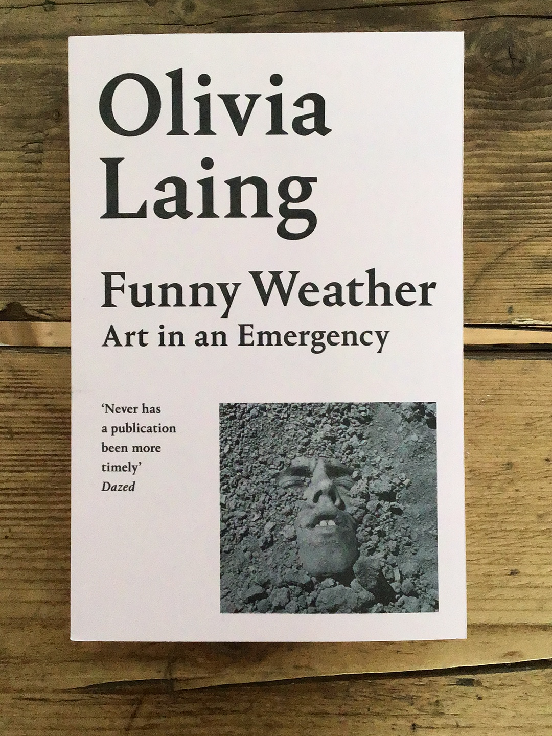 Funny Weather: Art in an Emergency