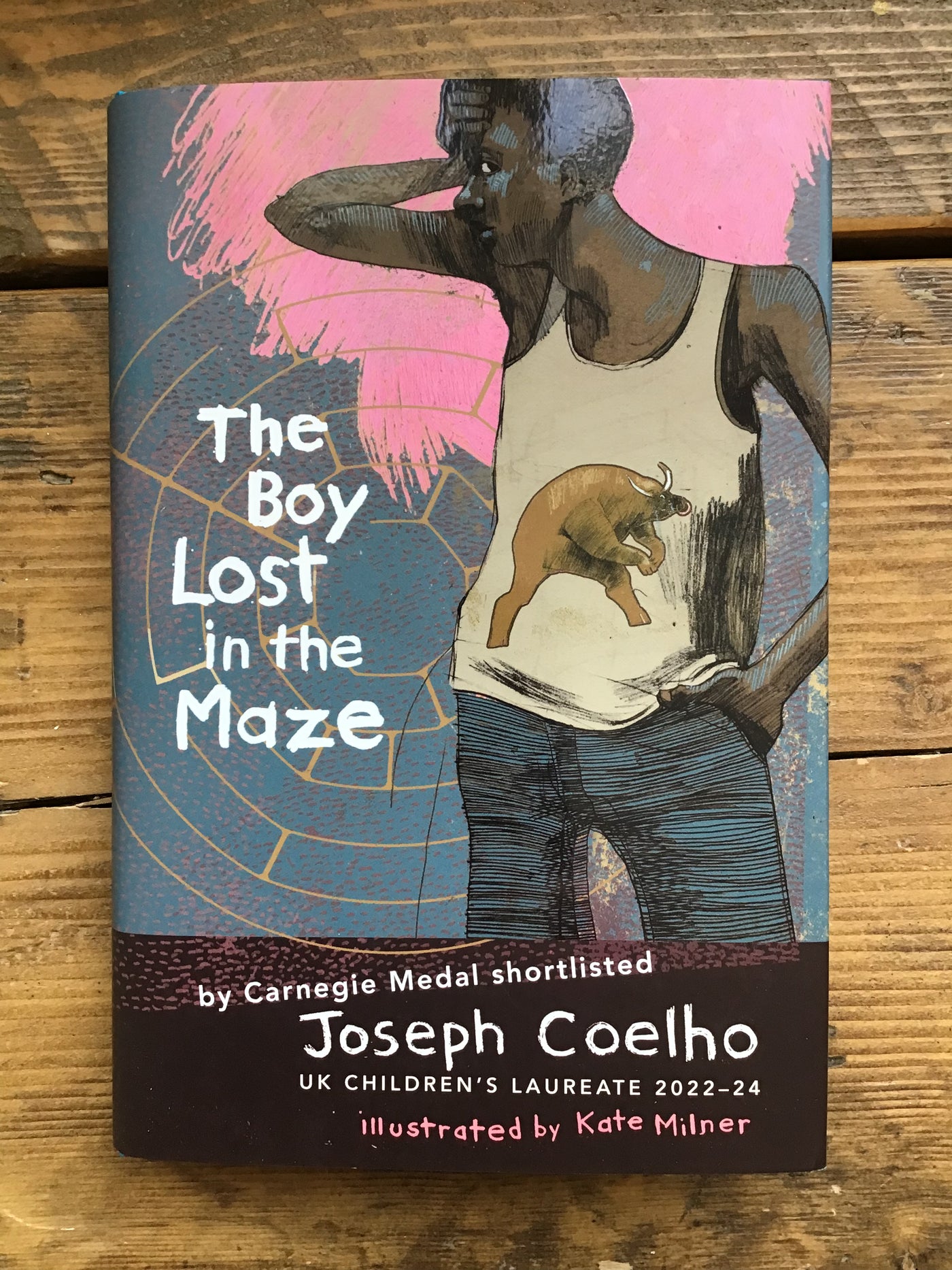 The Boy Lost in the Maze