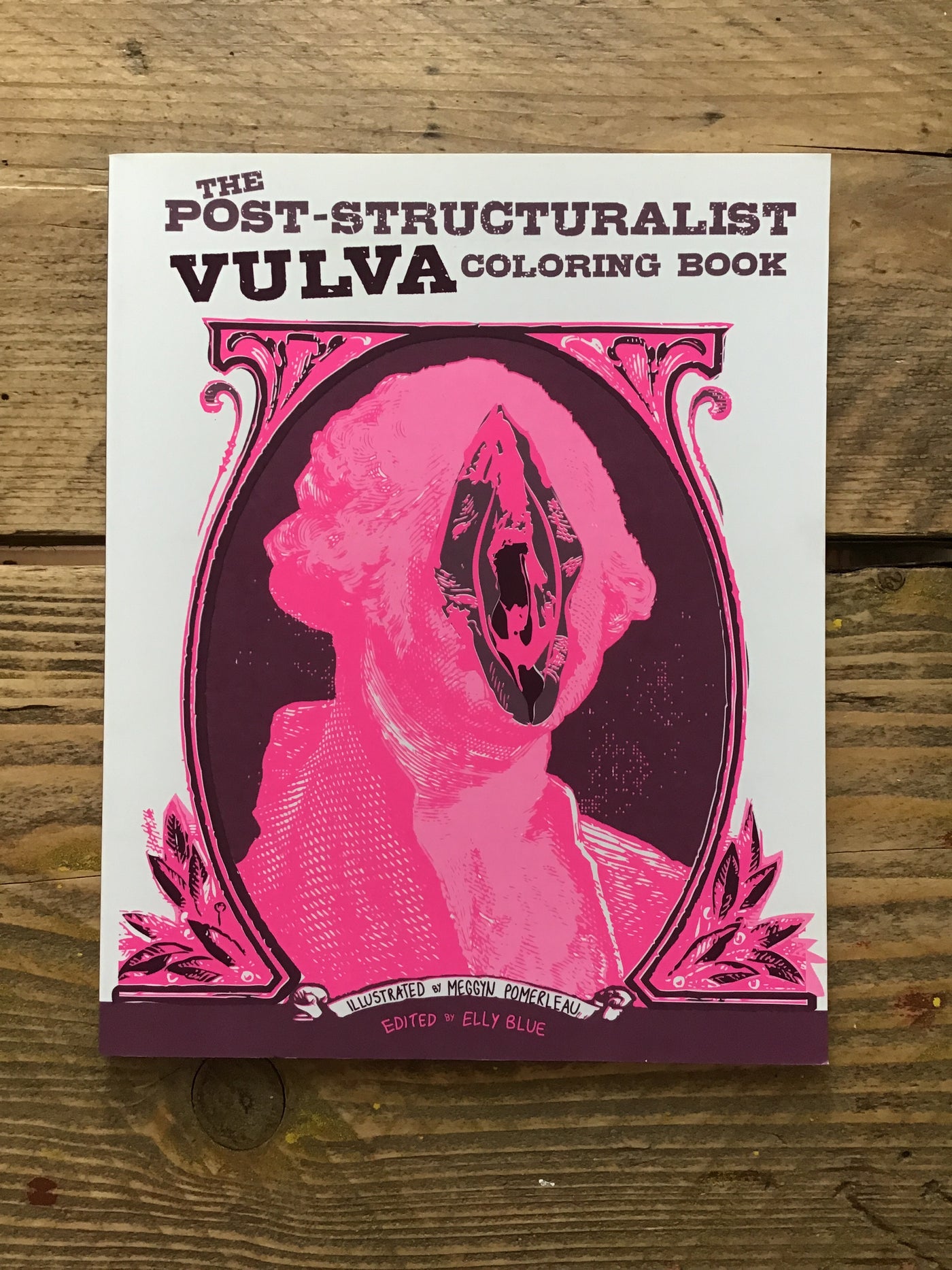 Post-structuralist Vulva Coloring Book