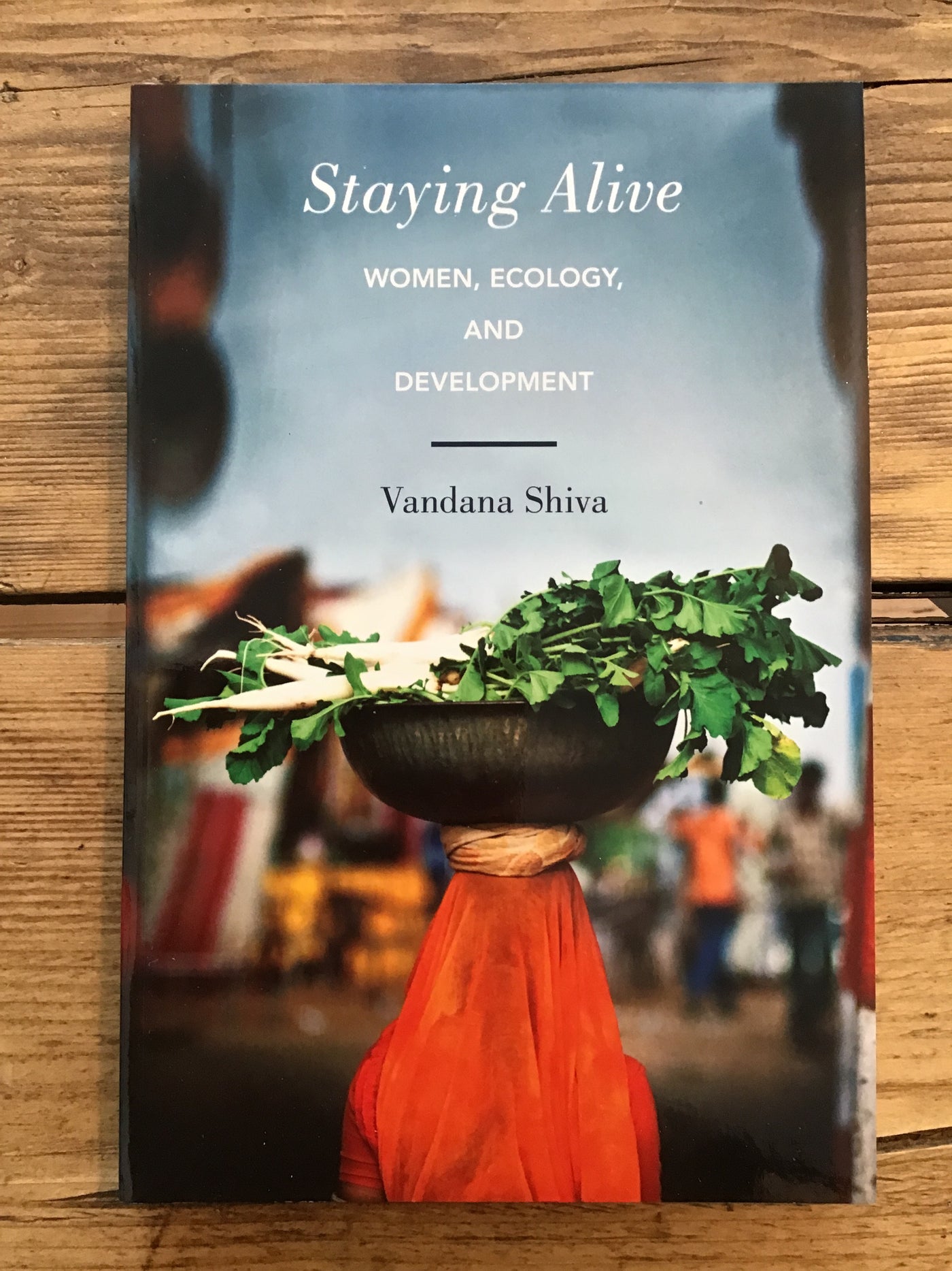 Staying Alive: Women, Ecology and Development