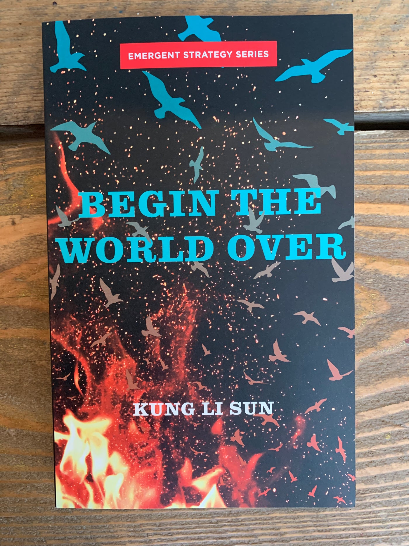 Begin the World Over