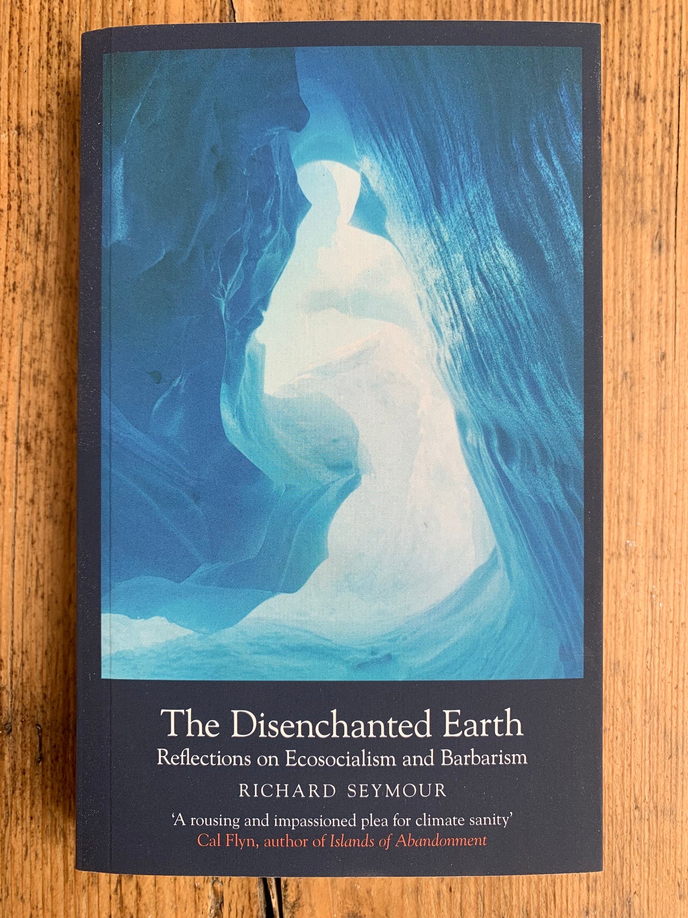 The Disenchanted Earth