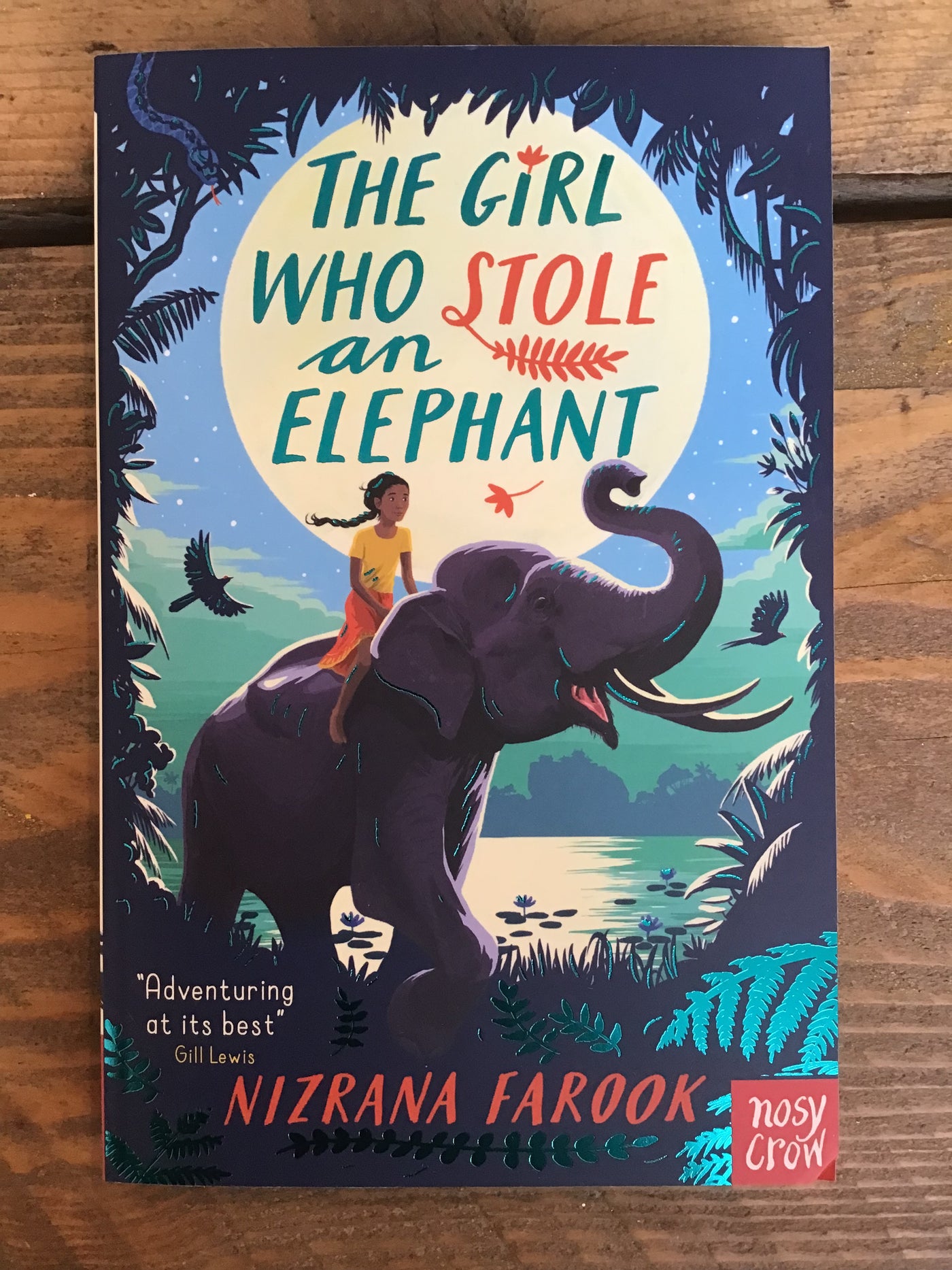 The Girl Who Stole an Elephant