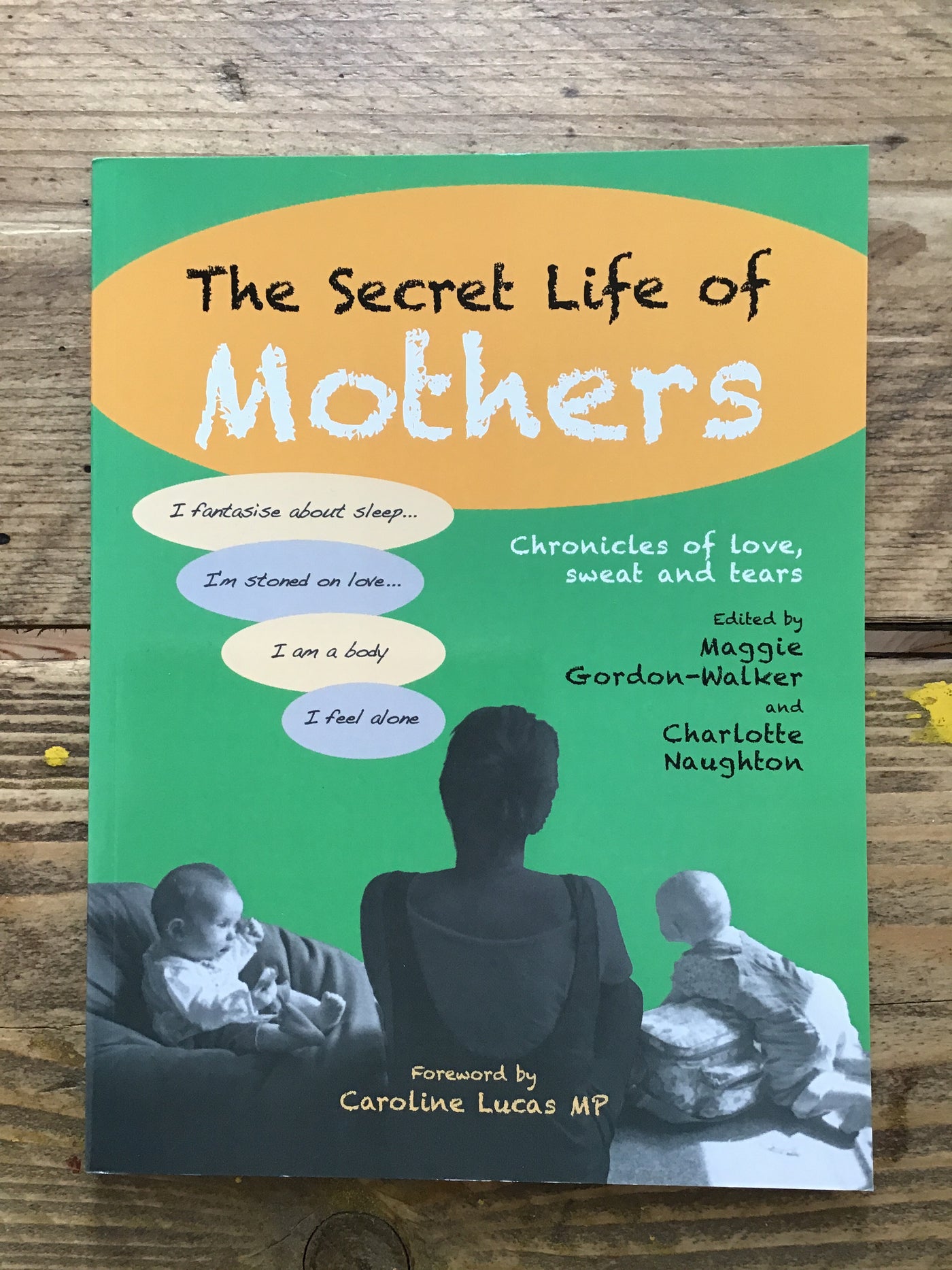 The Secret Life of Mothers : Chronicles of love, sweat and tears