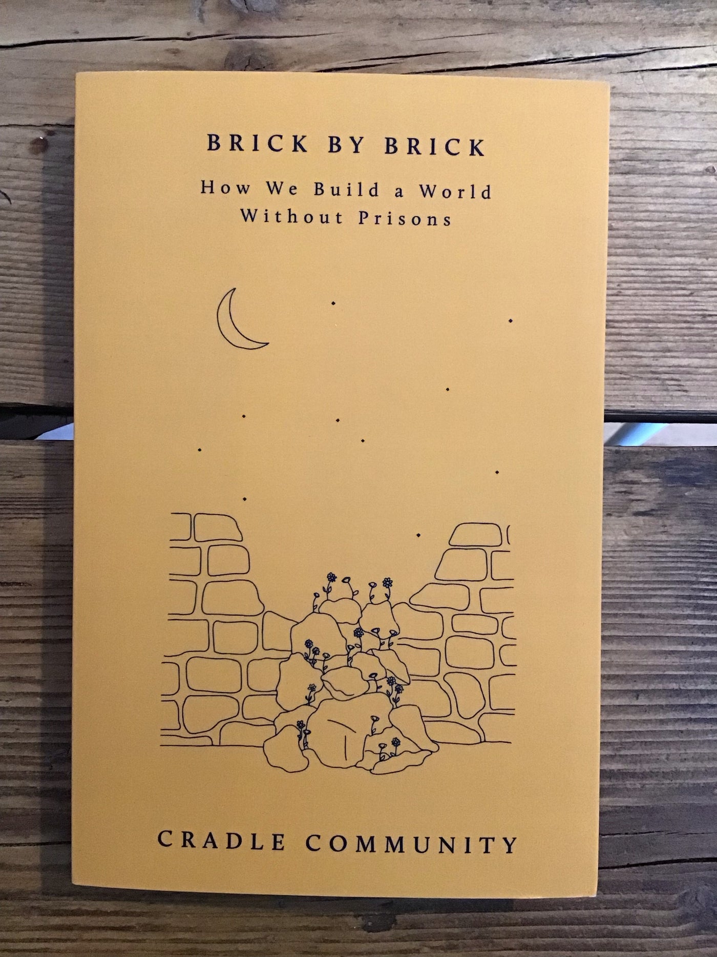 Brick by Brick : How We Build a World Without Prisons