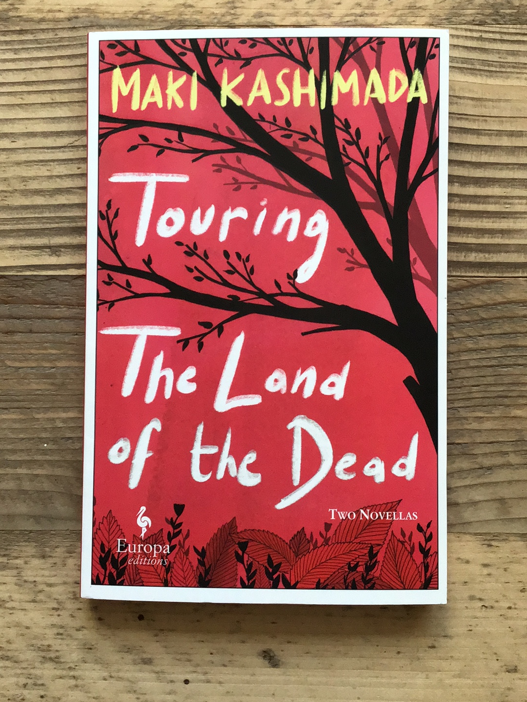 Touring The Land of the Dead