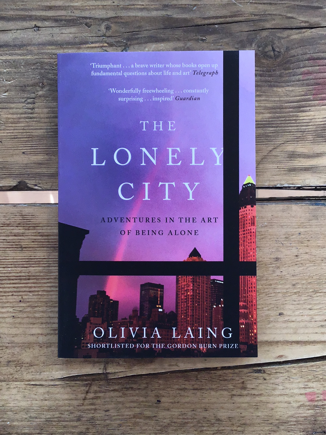 The Lonely City : Adventures in the Art of Being Alone