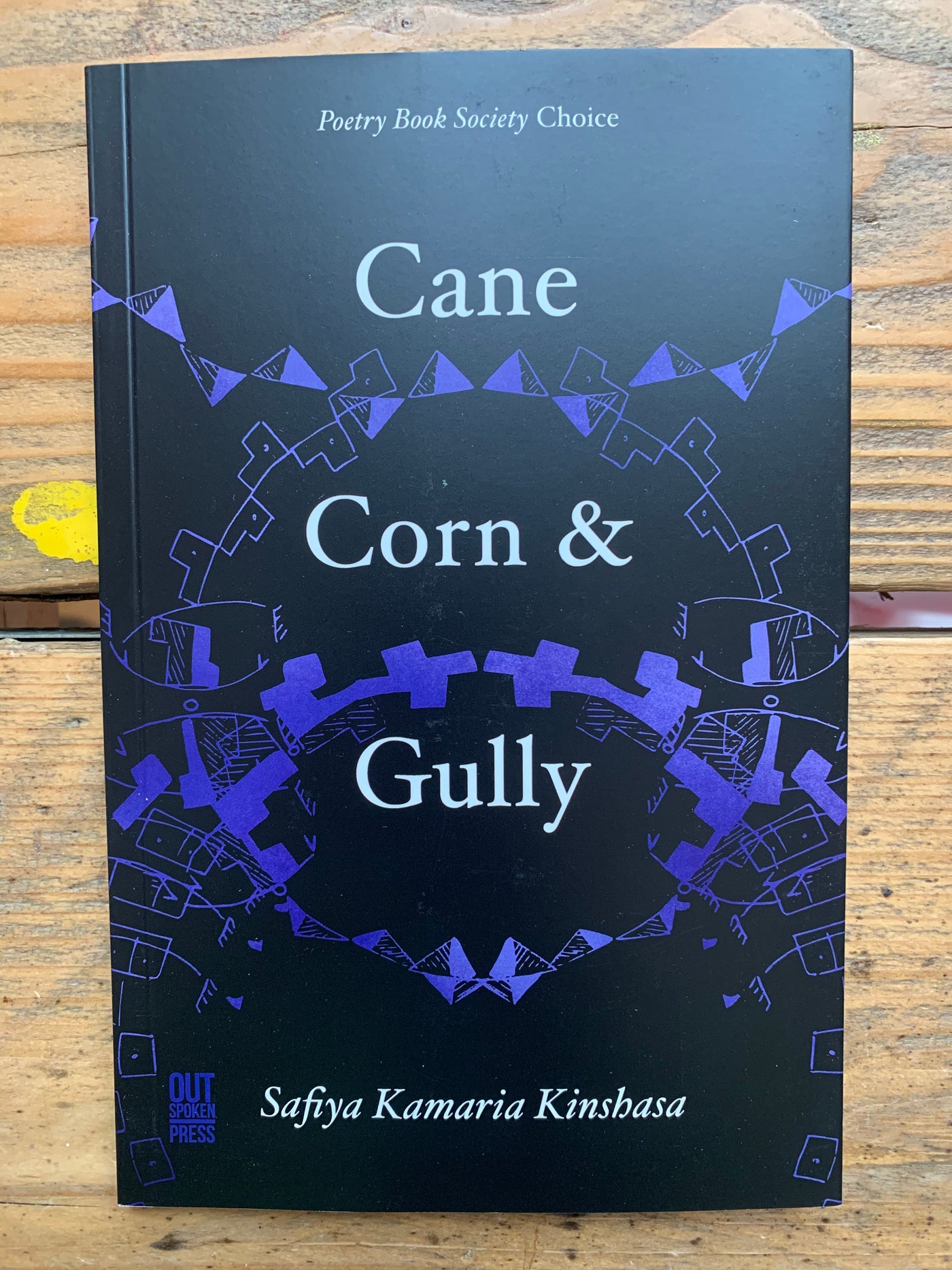 Cane Corn and Gully