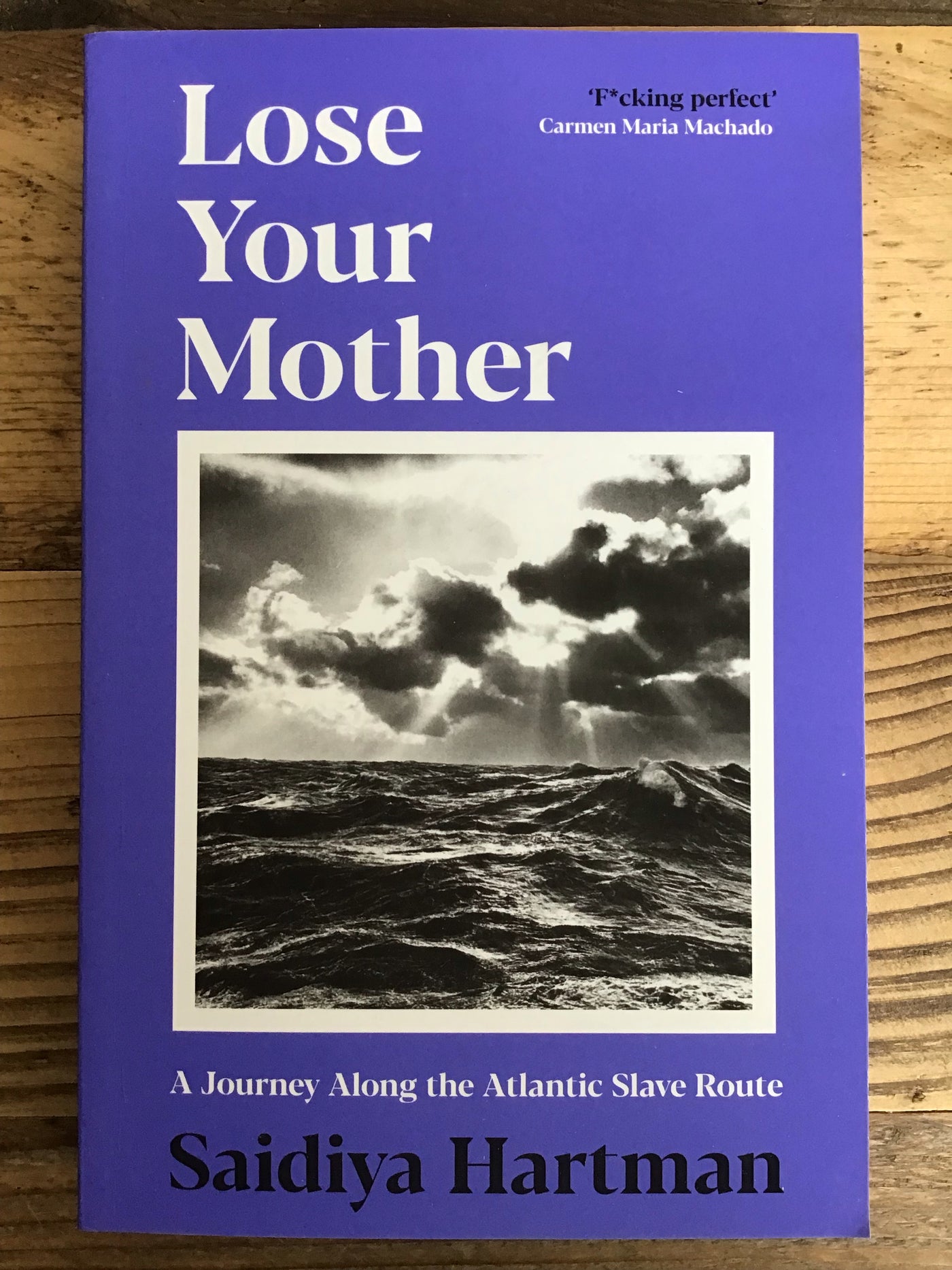 Lose Your Mother : A Journey Along the Atlantic Slave Route
