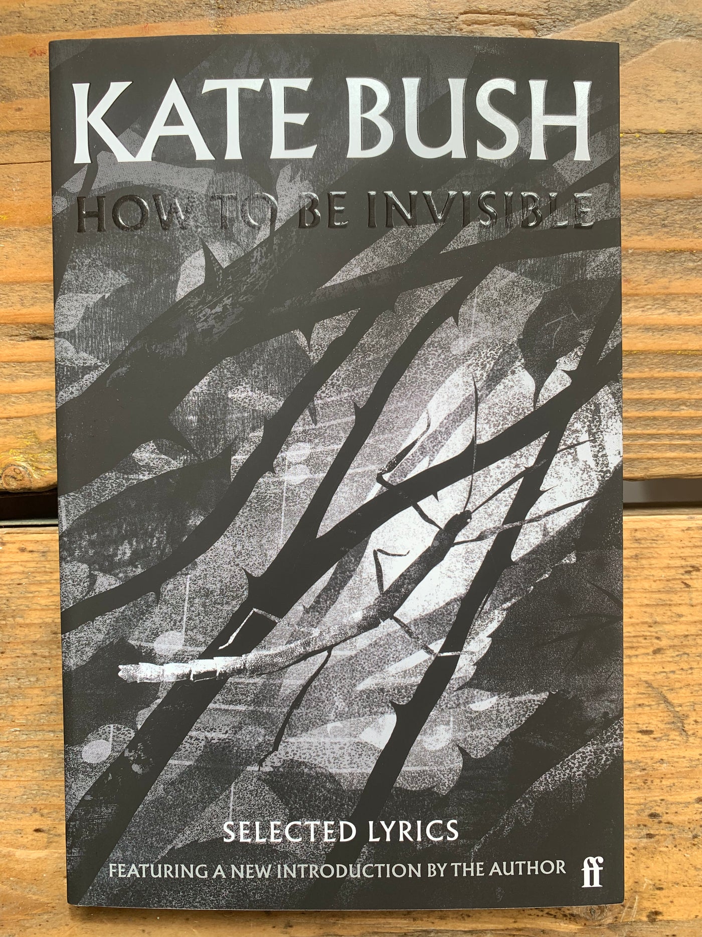 How To Be Invisible: Selected Lyrics - Paperback - Kate Bush